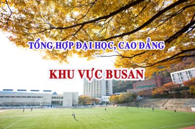 Top 10 Trường Đại học ở Busan Hàn Quốc được đánh giá cao